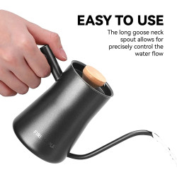 Чайник FIREMAPLE Orca: точный налив, нержавеющая сталь 304