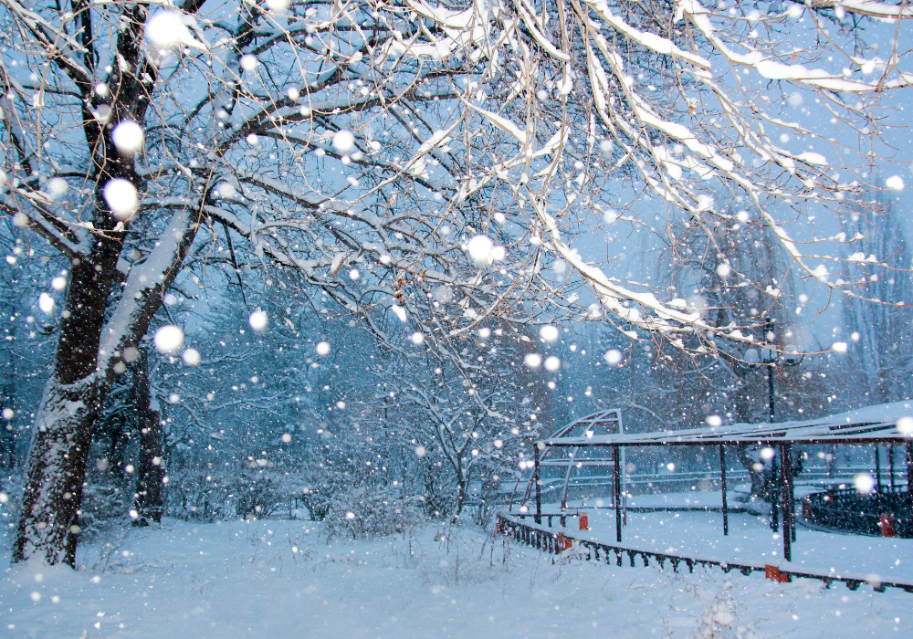 Keeping Food Fresh: Mastering Refrigeration-Free Food Storage for the Outdoors