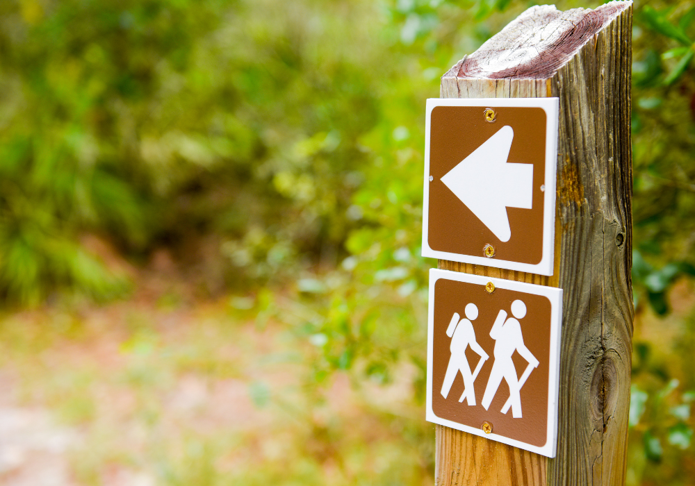 Choosing Your Basecamp: Finding a Campsite Near Hiking Trails